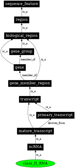 Graph image for SO:0000989