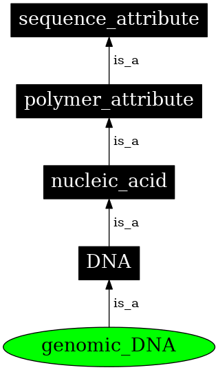 Graph image for SO:0000991