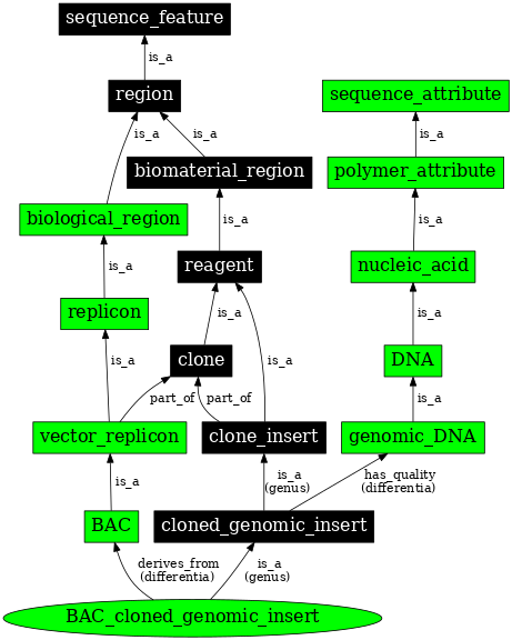 Graph image for SO:0000992