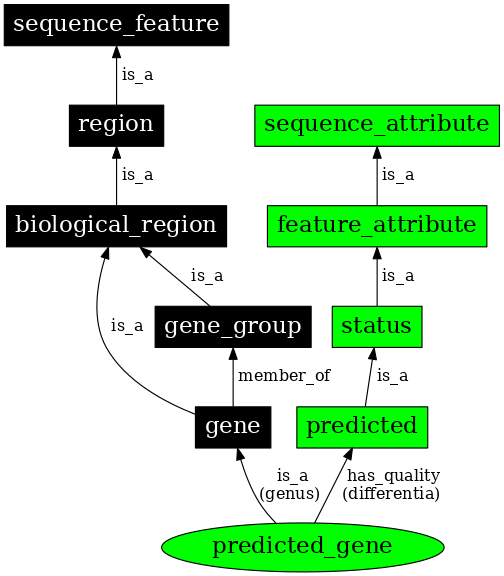 Graph image for SO:0000996