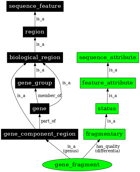 Graph image for SO:0000997