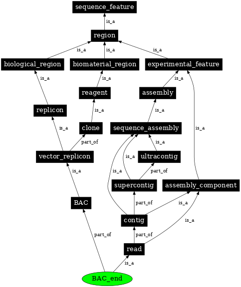 Graph image for SO:0000999