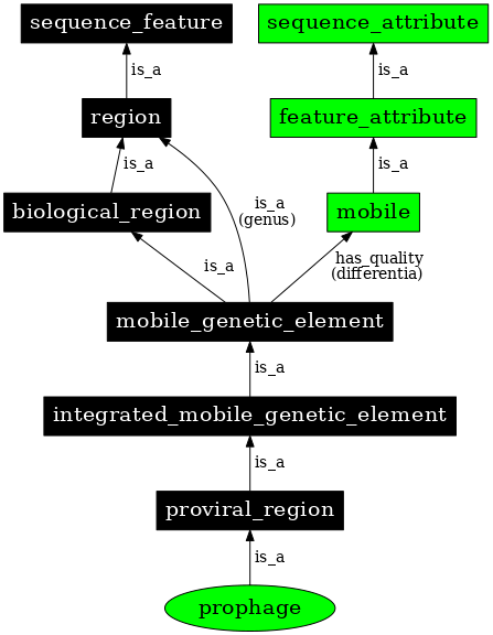 Graph image for SO:0001006