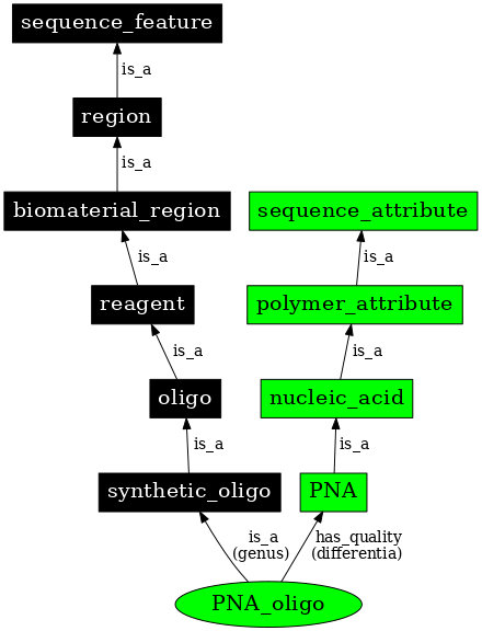 Graph image for SO:0001011