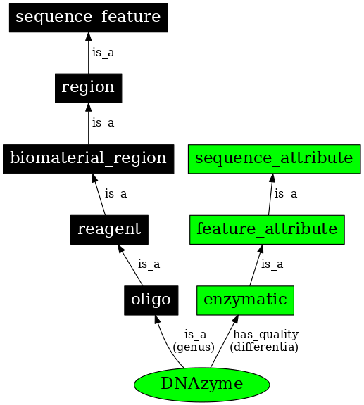 Graph image for SO:0001012