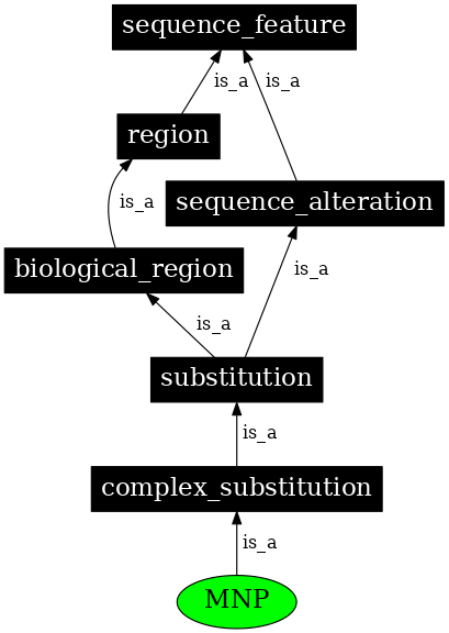 Graph image for SO:0001013