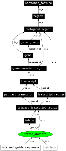 Graph image for SO:0001014