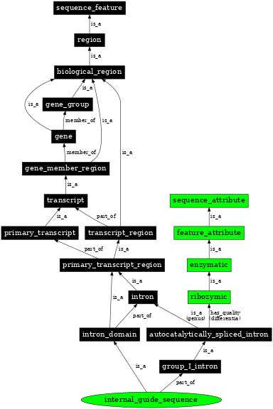 Graph image for SO:0001016