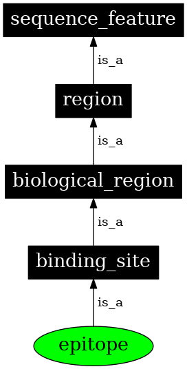 Graph image for SO:0001018