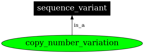 Graph image for SO:0001019