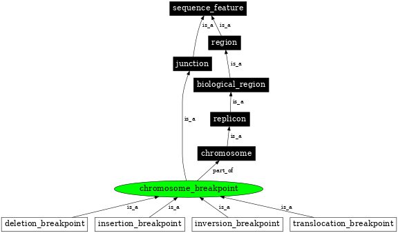 Graph image for SO:0001021