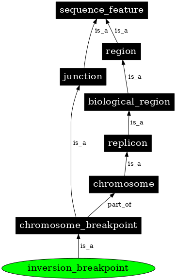 Graph image for SO:0001022