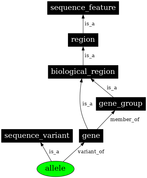 Graph image for SO:0001023