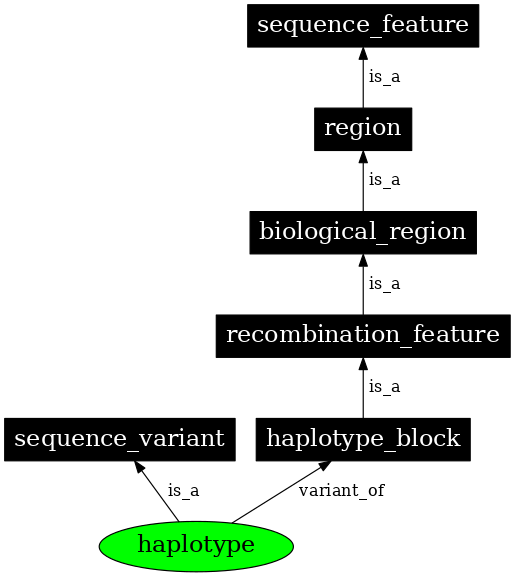 Graph image for SO:0001024