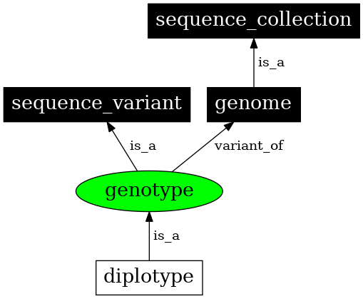 Graph image for SO:0001027