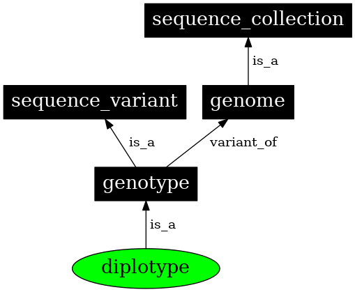 Graph image for SO:0001028