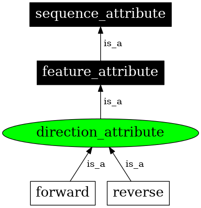 Graph image for SO:0001029