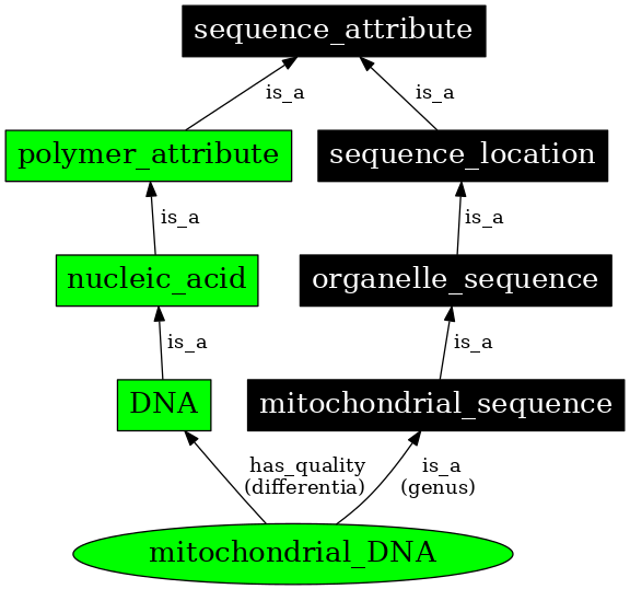 Graph image for SO:0001032