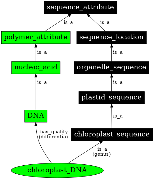 Graph image for SO:0001033