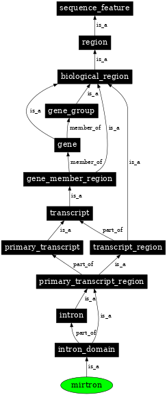 Graph image for SO:0001034