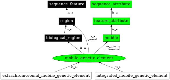 Graph image for SO:0001037