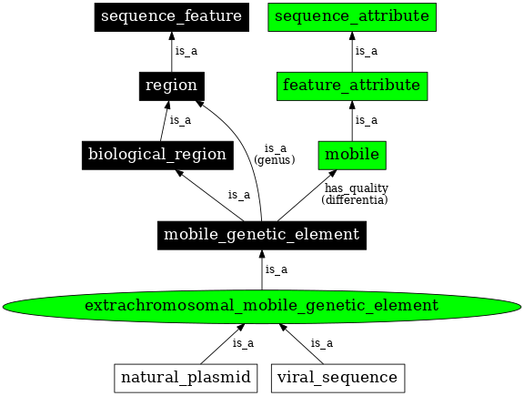 Graph image for SO:0001038