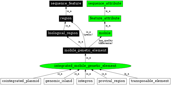 Graph image for SO:0001039