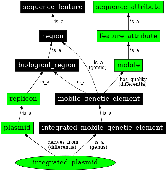 Graph image for SO:0001040