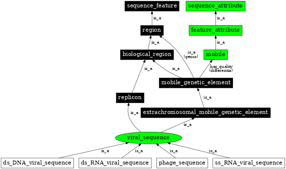 Graph image for SO:0001041