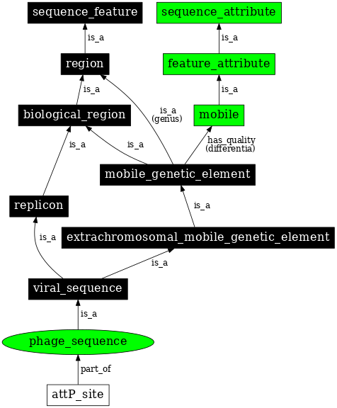 Graph image for SO:0001042