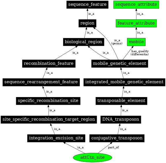 Graph image for SO:0001043