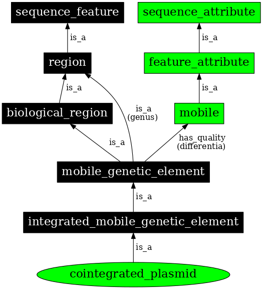 Graph image for SO:0001045