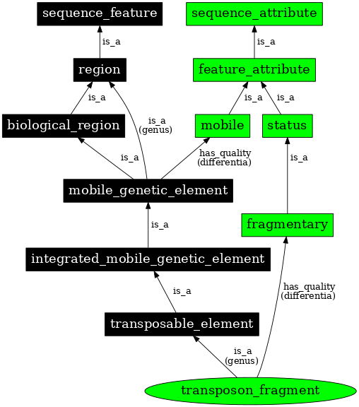 Graph image for SO:0001054