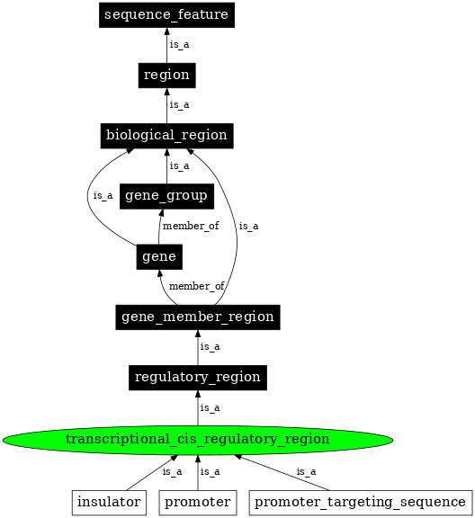 Graph image for SO:0001055