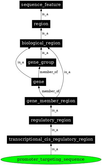 Graph image for SO:0001058