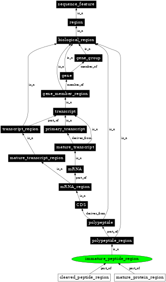 Graph image for SO:0001063