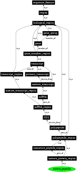 Graph image for SO:0001064