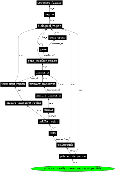 Graph image for SO:0001066