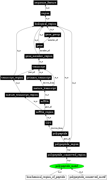 Graph image for SO:0001067