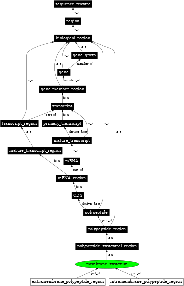 Graph image for SO:0001071