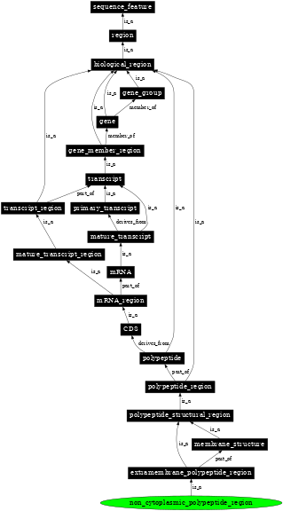 Graph image for SO:0001074