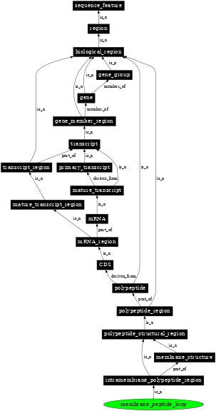 Graph image for SO:0001076