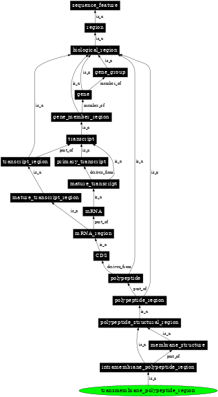 Graph image for SO:0001077