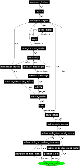 Graph image for SO:0001081