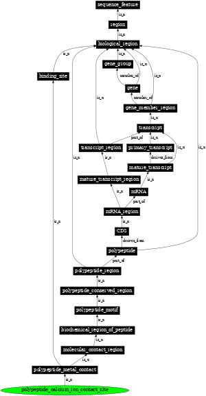 Graph image for SO:0001094