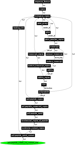 Graph image for SO:0001095