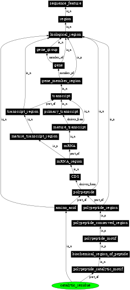 Graph image for SO:0001104