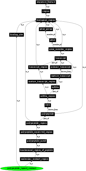 Graph image for SO:0001105