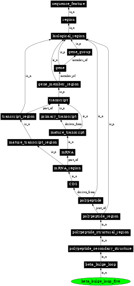 Graph image for SO:0001109