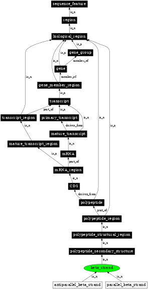 Graph image for SO:0001111